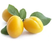 آلو زرد استنلی