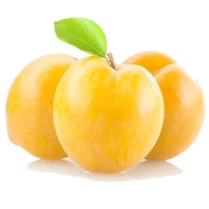 نهال آلو هاوران