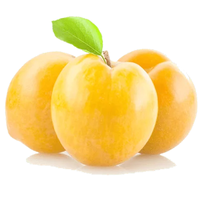 نهال آلو هاوران