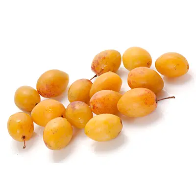 نهال آلو لری ان