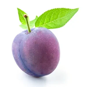 نهال آلو لومبارد